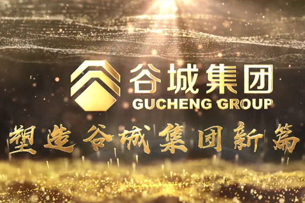 共筑新時(shí)代，不負(fù)韶華夢(mèng)——谷城集團(tuán)隆重舉行2019年度榮譽(yù)表彰大會(huì)暨2020年迎春年會(huì)